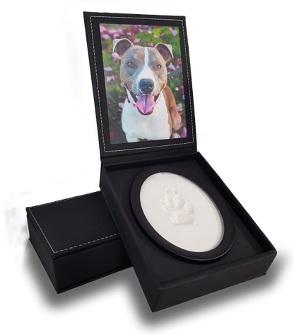 A display case with a photo of a dog and a paw print impression in clay