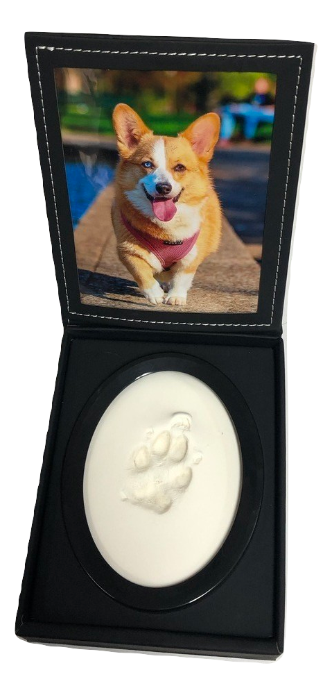 A display case with a photo of a dog and a paw print impression in clay