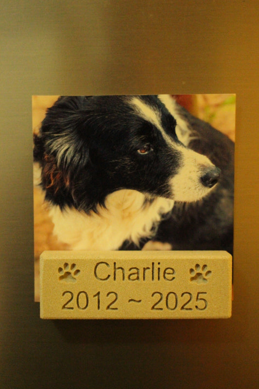 Engraved Sandstone Pet Memorial Fridge Magnet with "Charlie" and "2012-2025" enscribed.