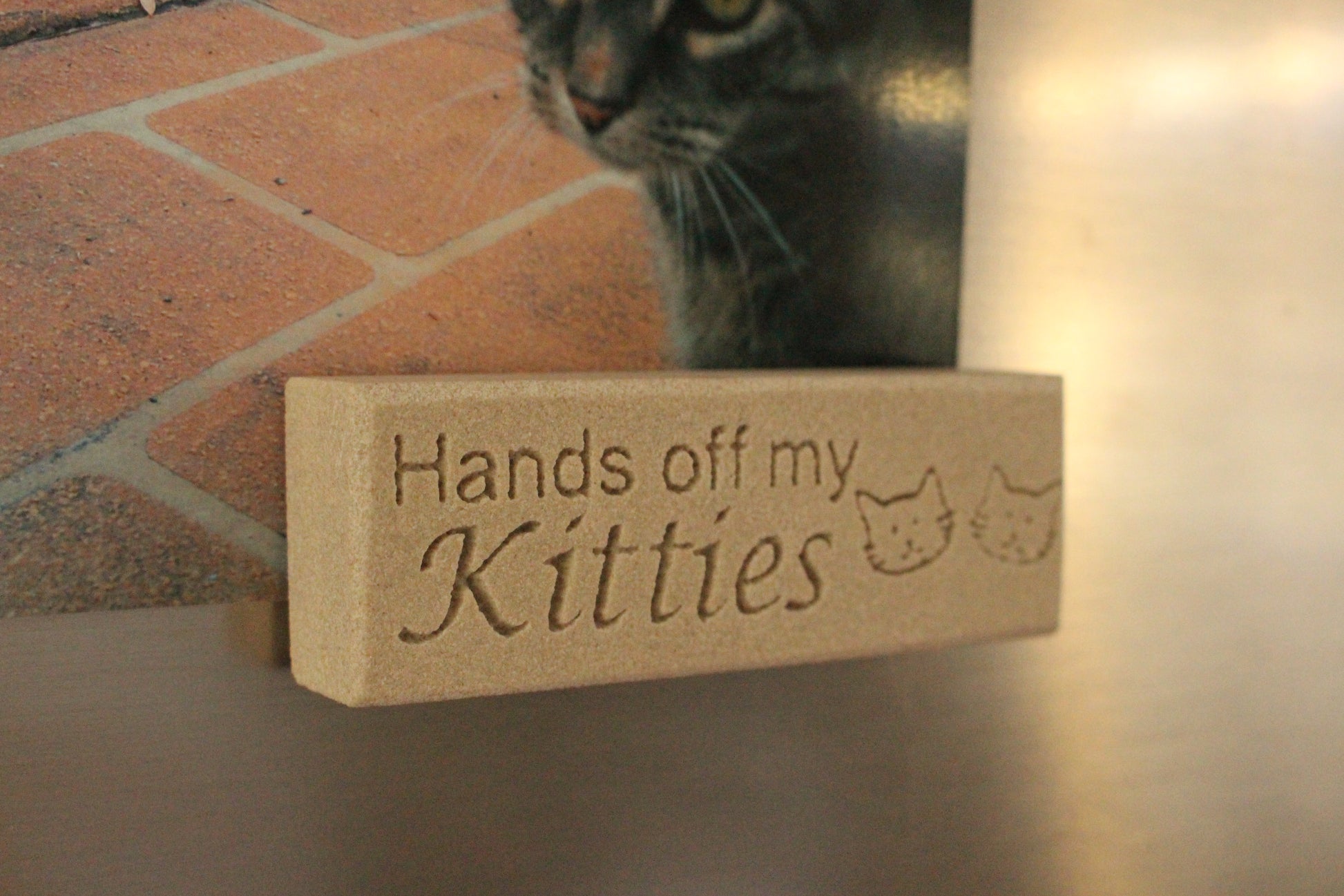 close shot of engraved sandstone fridge magnet with "hands of my kitties" engraved. It is holding a photo of a cat on a fridge.