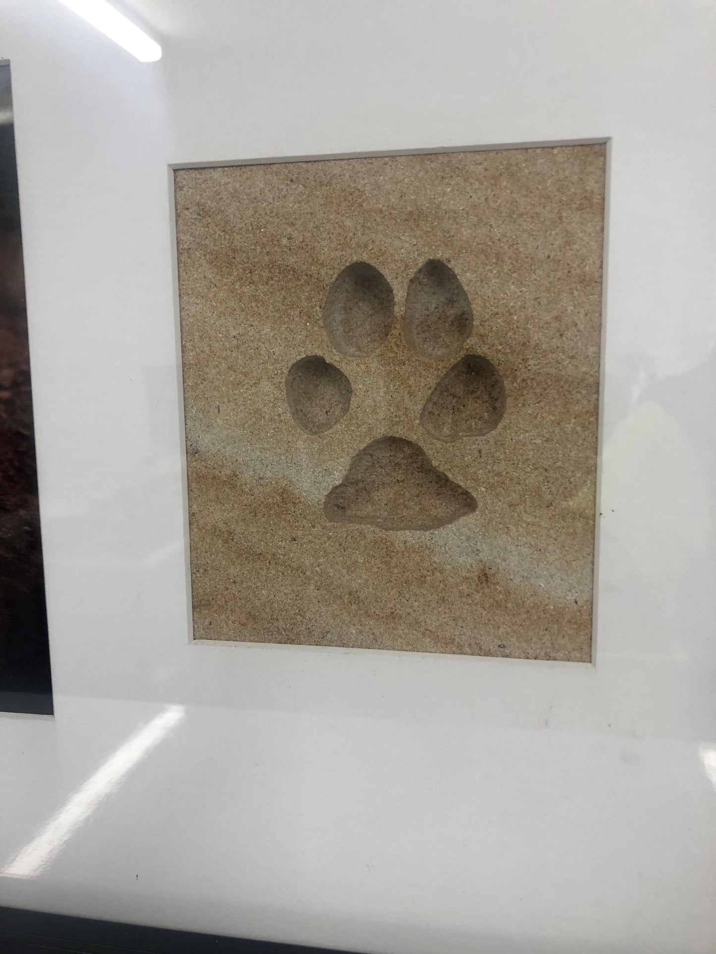 Lasting Impression Frame - Forever Paw Print in Stone with Urn