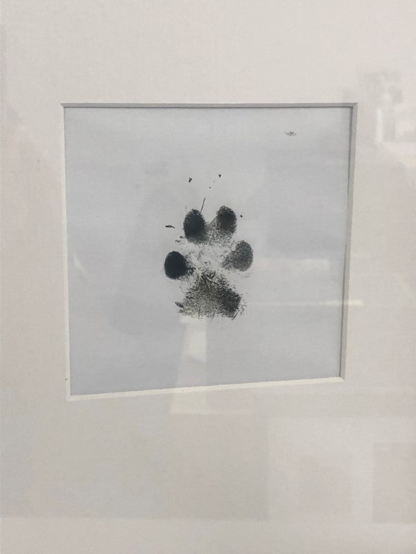 Inkless paw cheap print kit