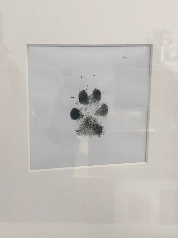 Paw Print Frame Kit - Dog Paw Print Kit and Cat Paw Print Kit for All Breeds - Pet Memorial Picture Frame, Mess Free Clean Touch Ink Pad, Pawprint
