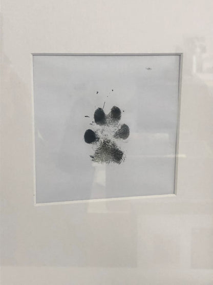 No Mess Paw Print Impression Kit for Dog or Cat