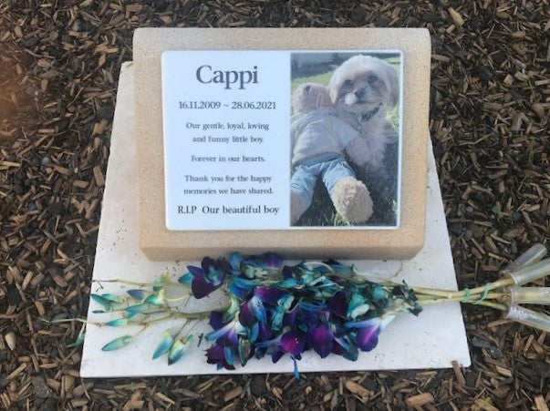 Pet Headstone in Sandstones with Photo Ceramic plaque