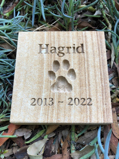 Forever Paw Print In Stone