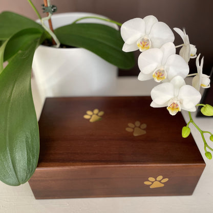 Timber Pet Urn with Paw Prints