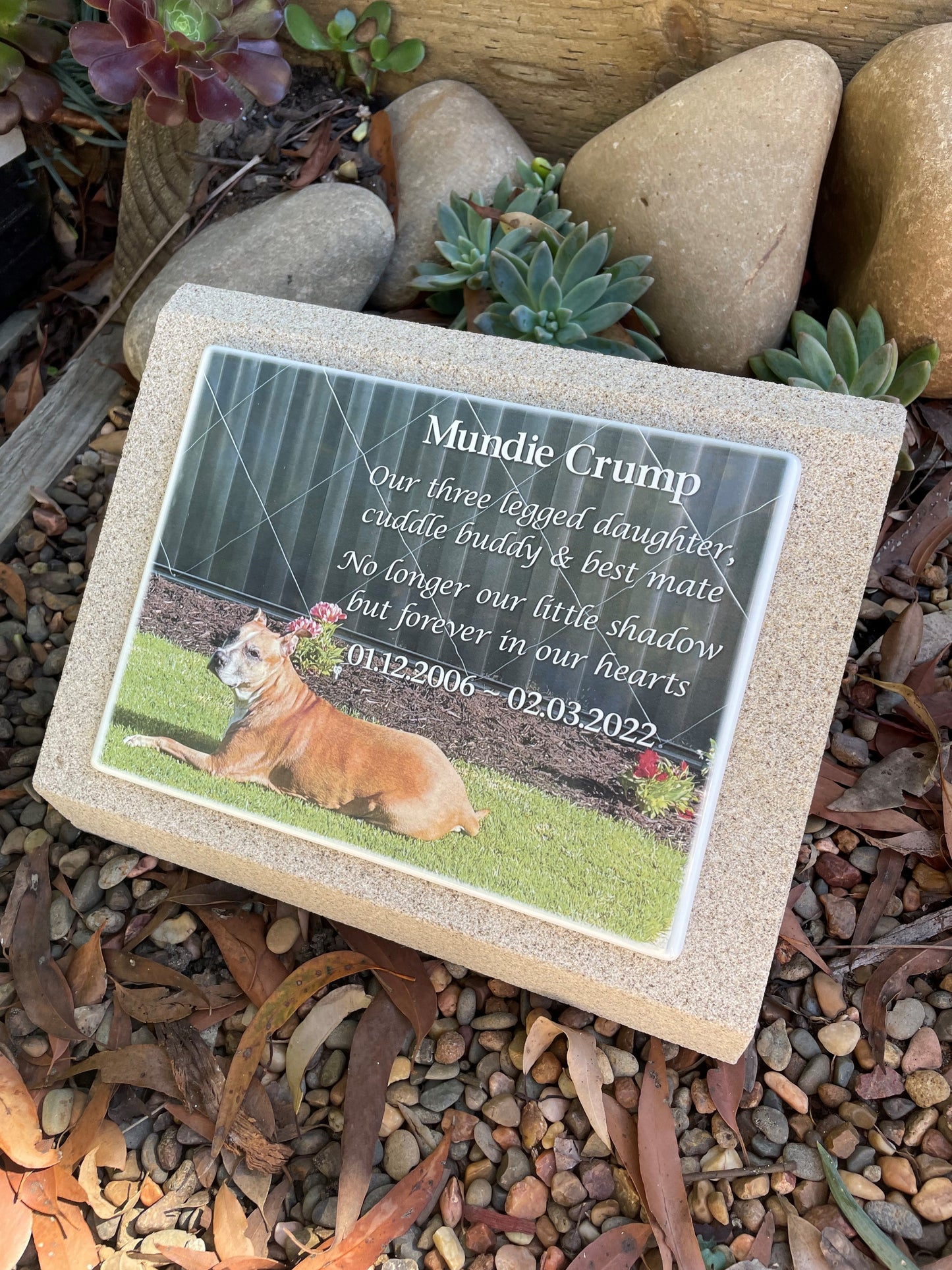 Pet Headstone in Sandstones with Photo Ceramic plaque