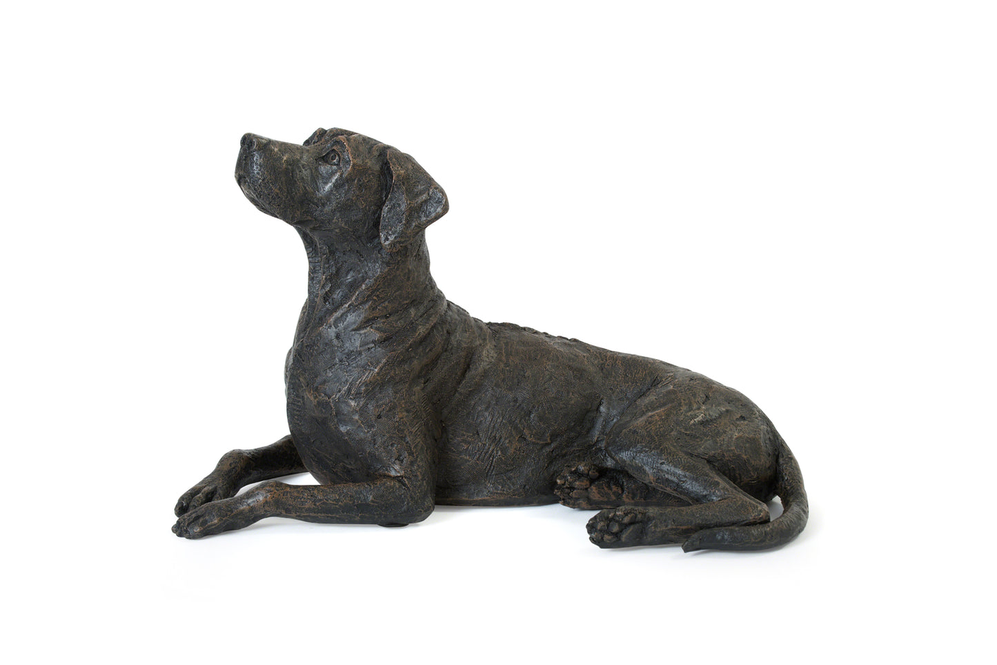 Pet Urn - Rhodesian Ridgeback Figurine Pet Urn