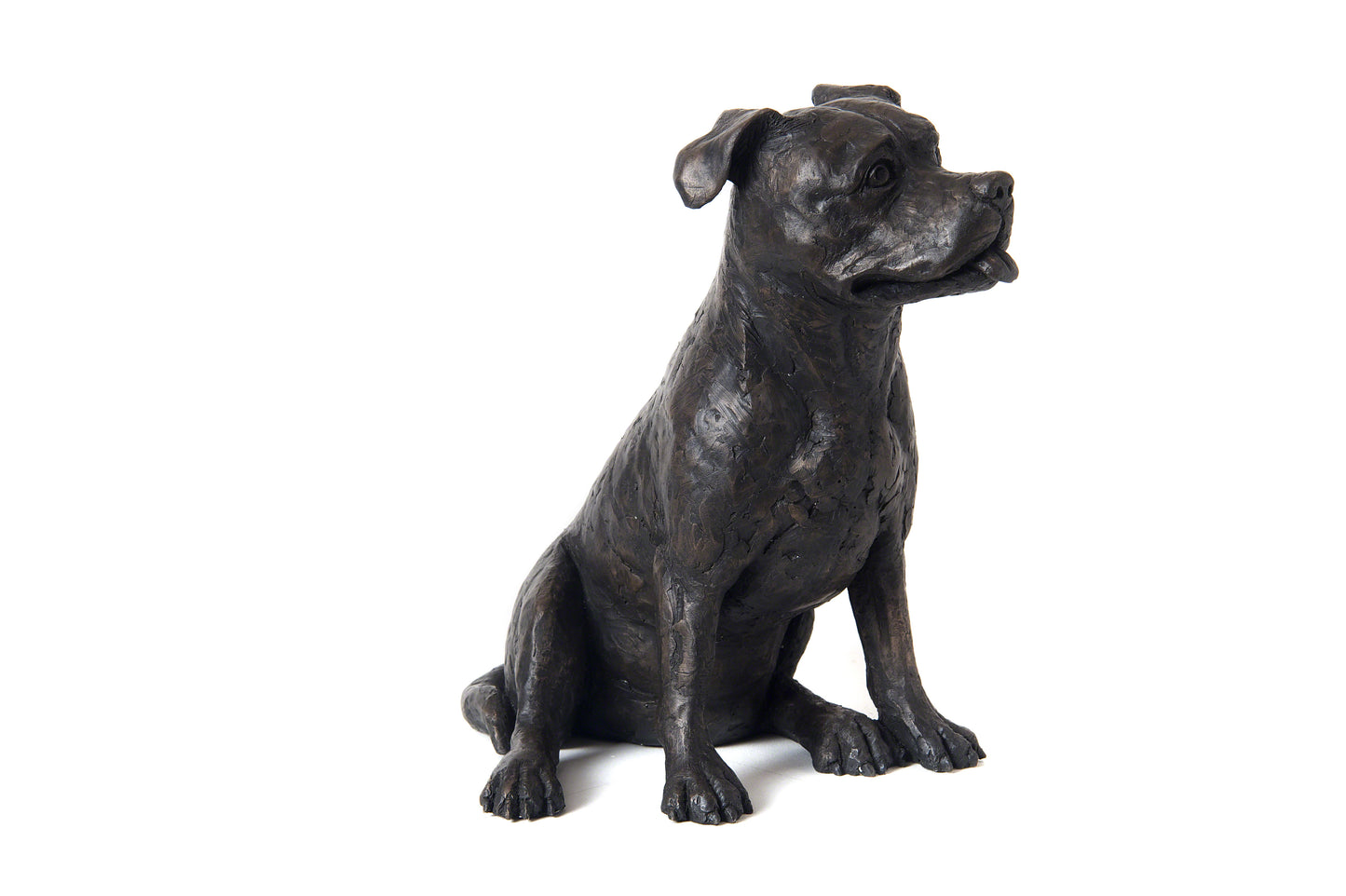 Pet Urn - Staffordshire Bull Terrier (Staffy) Figurine Pet Urn