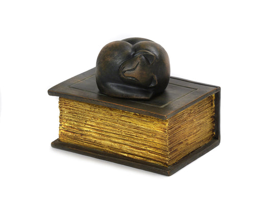 Pet Urn - Sleeping Cat on Book