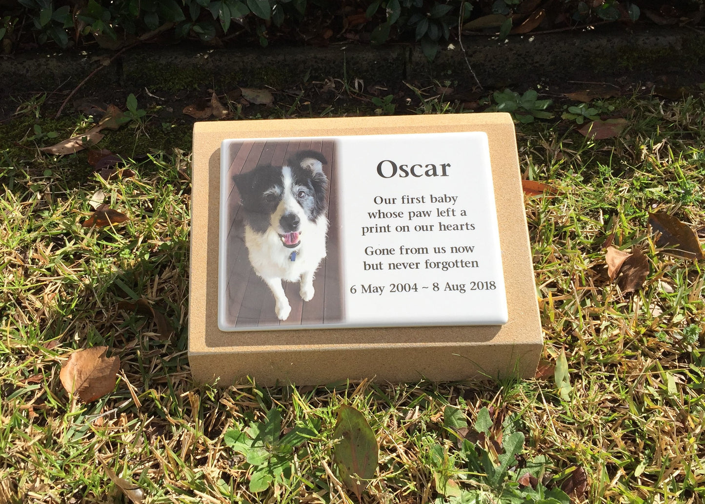 Pet Headstone in Sandstones with Photo Ceramic plaque