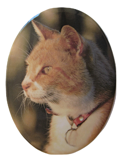 Photo Ceramic plaque 6 x 8cm Oval - Addon product