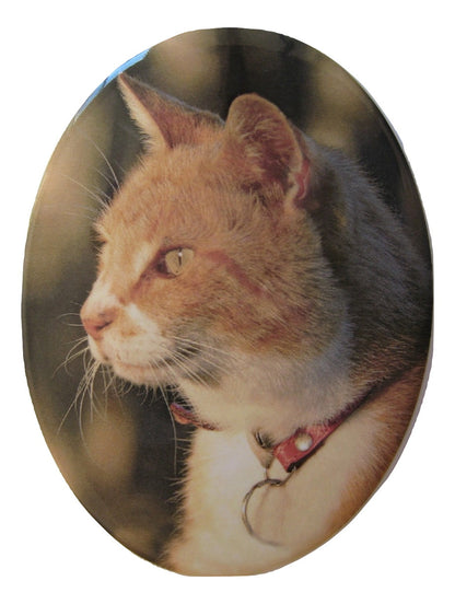 Photo Ceramic plaque 6 x 8cm Oval - Addon product