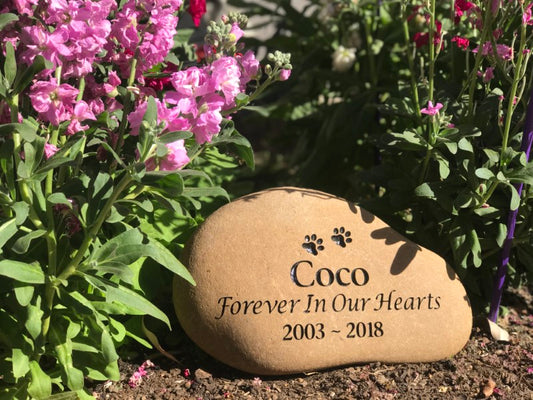 Tumbled Riverstone - Pet Memorial -Extra Large