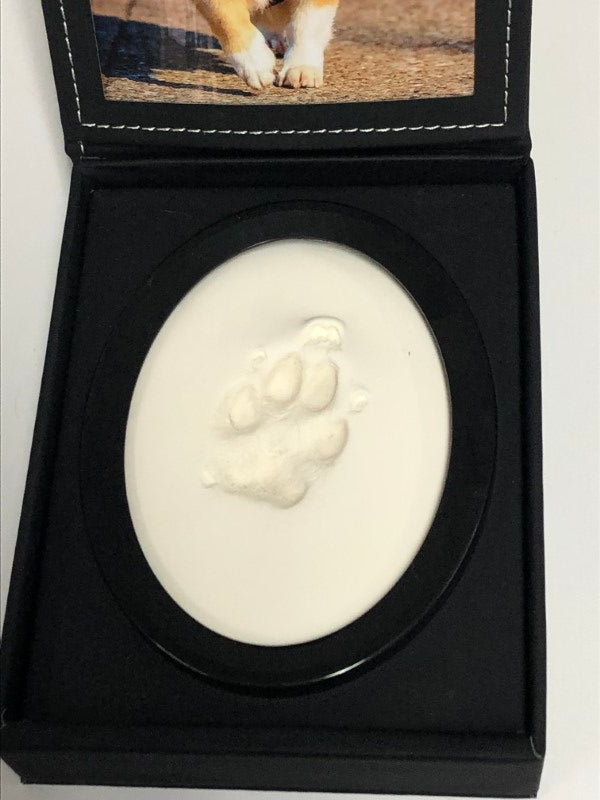 A display case with a photo of a dog and a paw print impression in clay