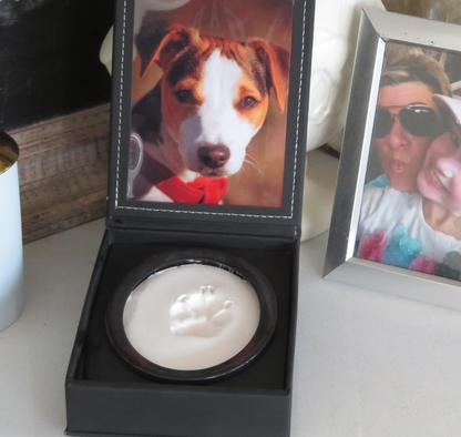 A display case with a photo of a dog and a paw print impression in clay