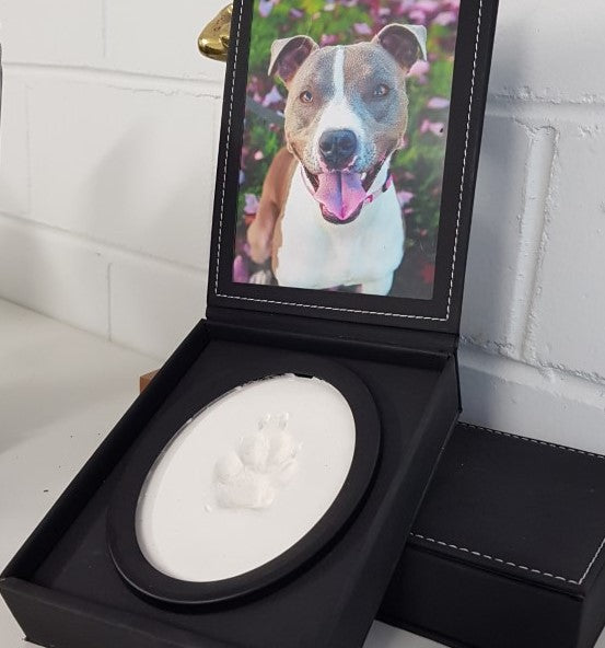 A display case with a photo of a dog and a paw print impression in clay