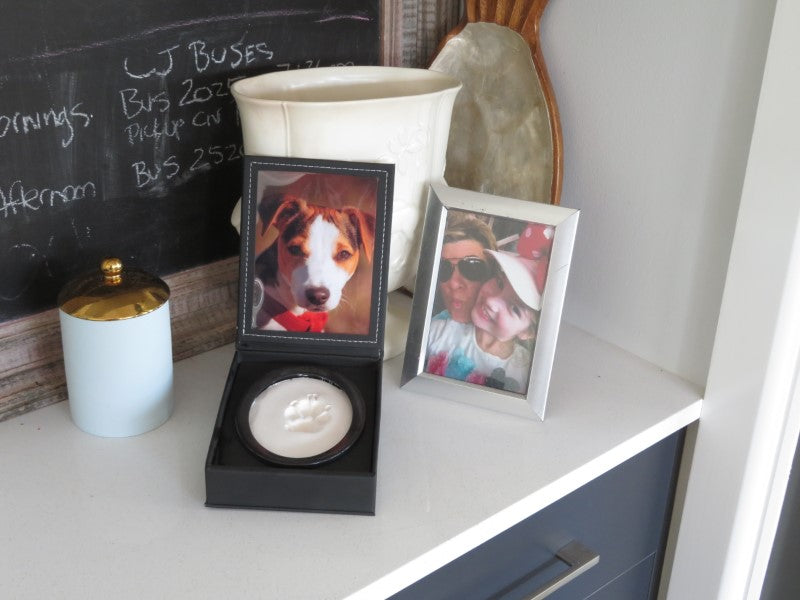 A display case with a photo of a dog and a paw print impression in clay