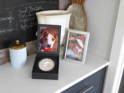 A display case with a photo of a dog and a paw print impression in clay