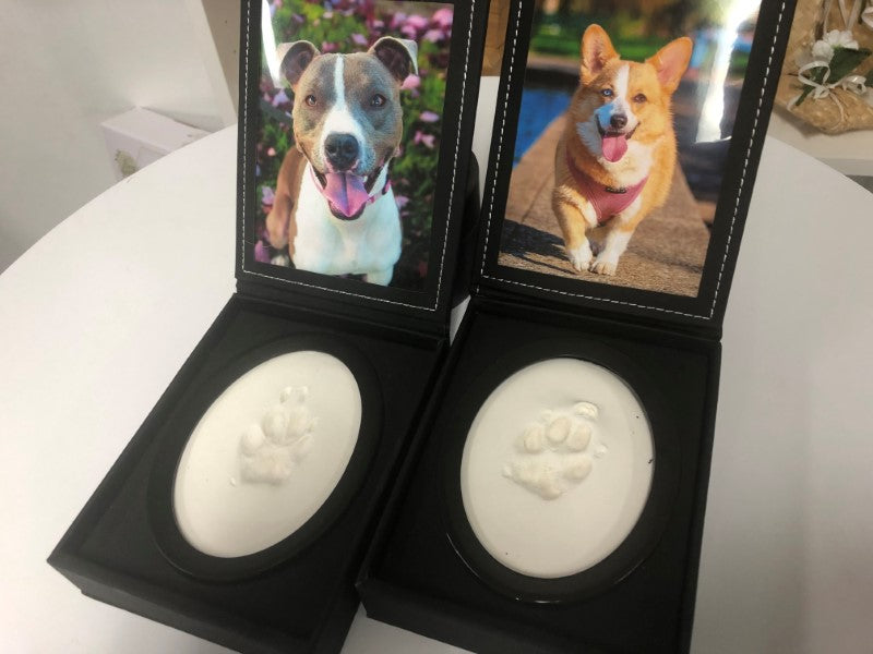 two display cases with a photo of a dog and a paw print impression in clay