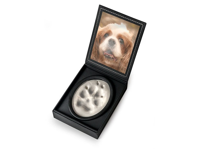 A display case with a photo of a dog and a paw print impression in clay