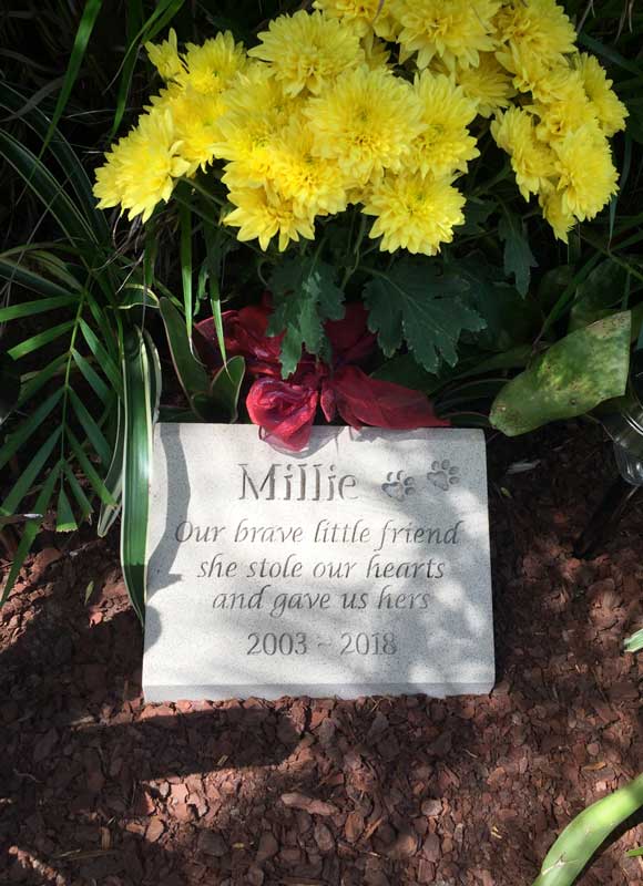 Pet Headstone in Sandstone with Natural Engraving