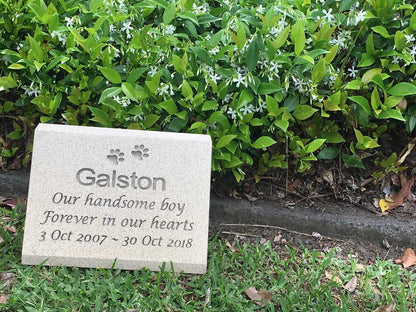 Pet Headstone in Sandstone with Natural Engraving